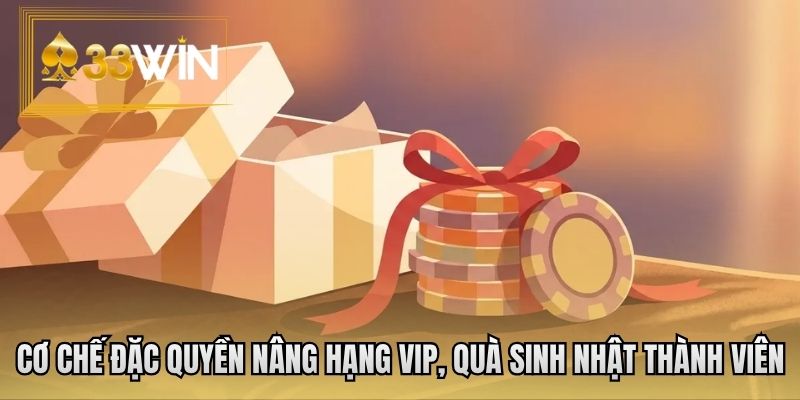 Cơ chế Đặc quyền nâng hạng VIP, Quà sinh nhật thành viên