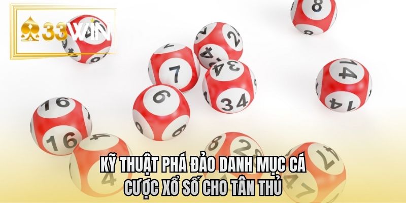 Kỹ thuật phá đảo danh mục cá cược xổ số cho tân thủ