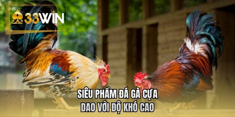 Siêu phẩm đá gà cựa dao với độ khó cao