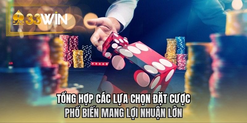 Tổng hợp các lựa chọn đặt cược phổ biến mang lợi nhuận lớn